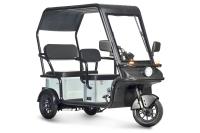 Электротрицикл Wanshida NIPLA 570 60V 1000Вт