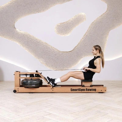Гребной тренажер DFC SmartGym WR-02